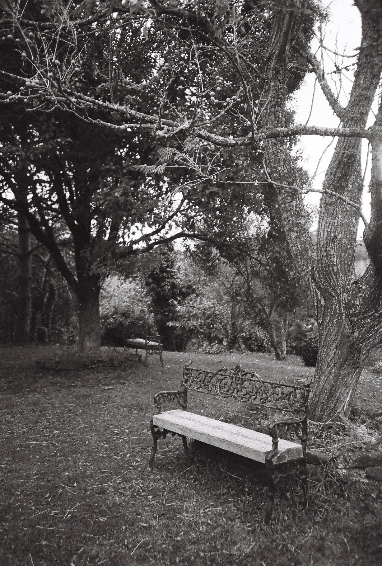 Reportaje Quim Gutiérrez