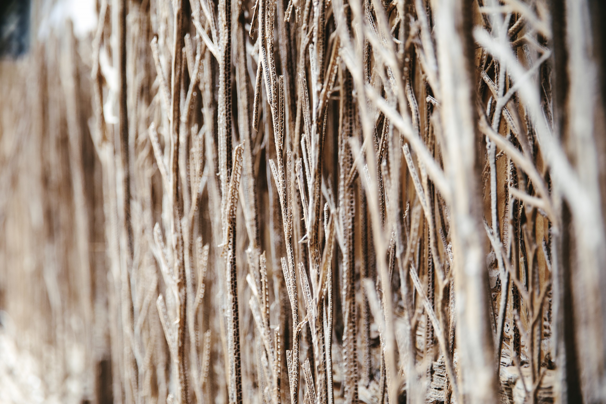 Eva Jospin x Harper's Baazar