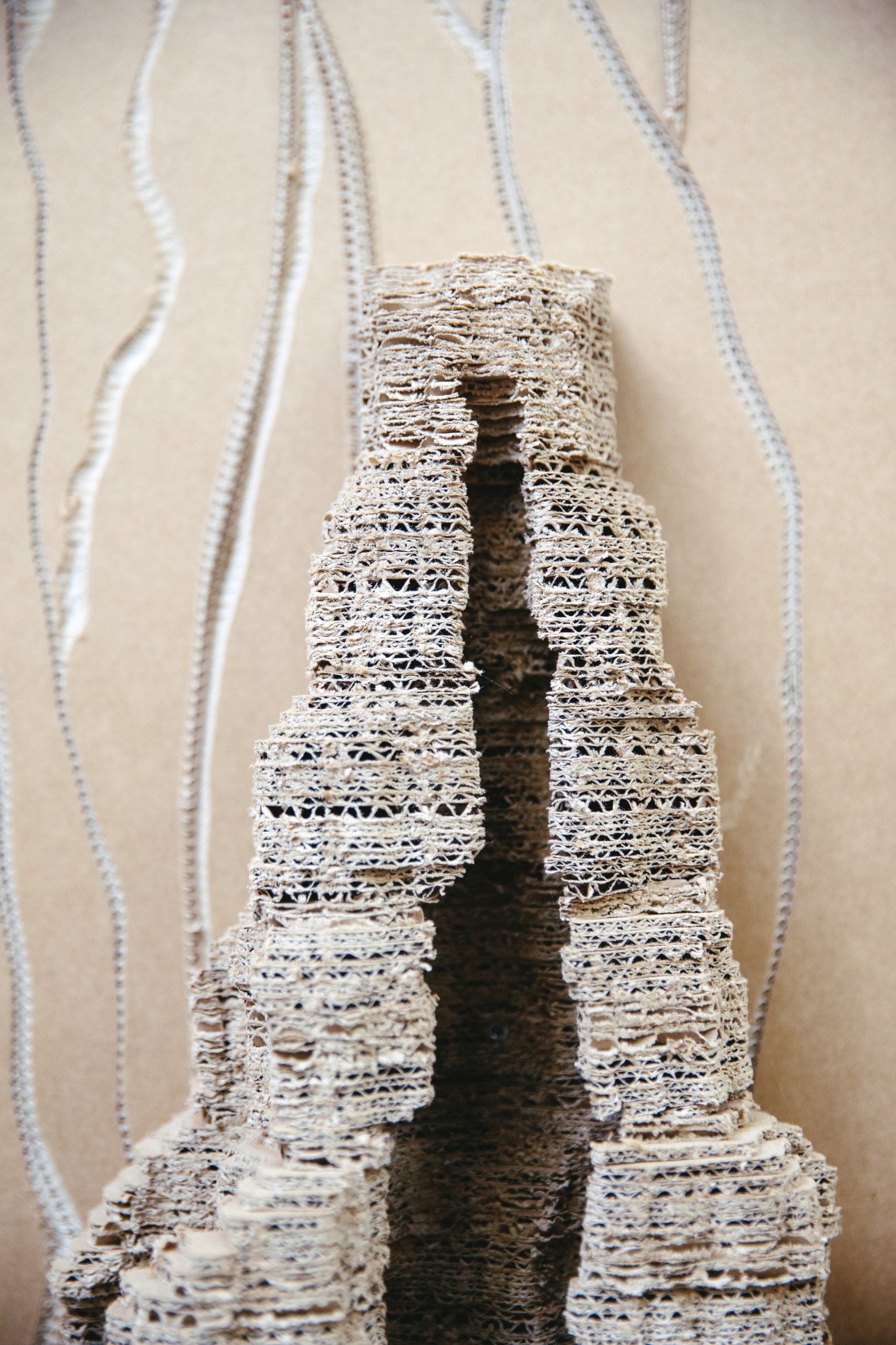 Eva Jospin x Harper's Baazar