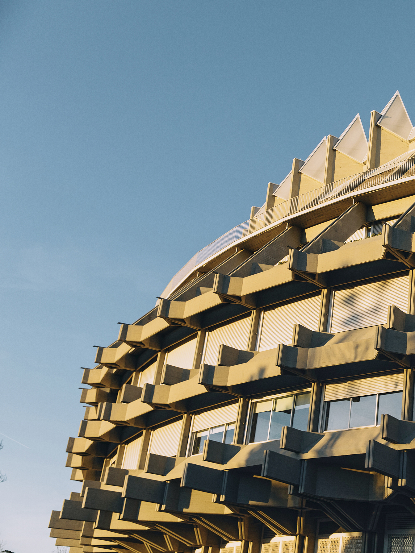 Corona de Espinas x AD