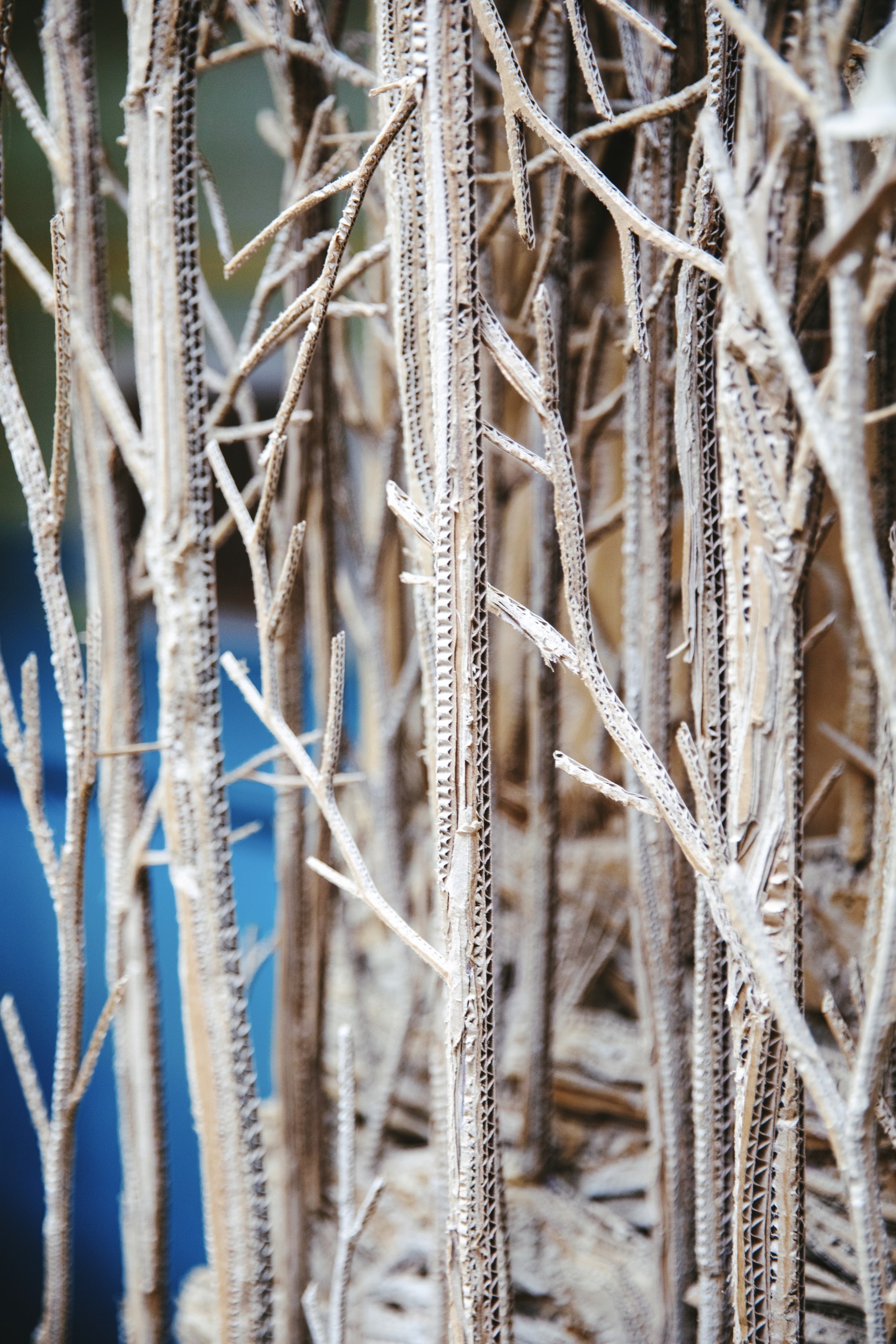 Eva Jospin x Harper's Baazar