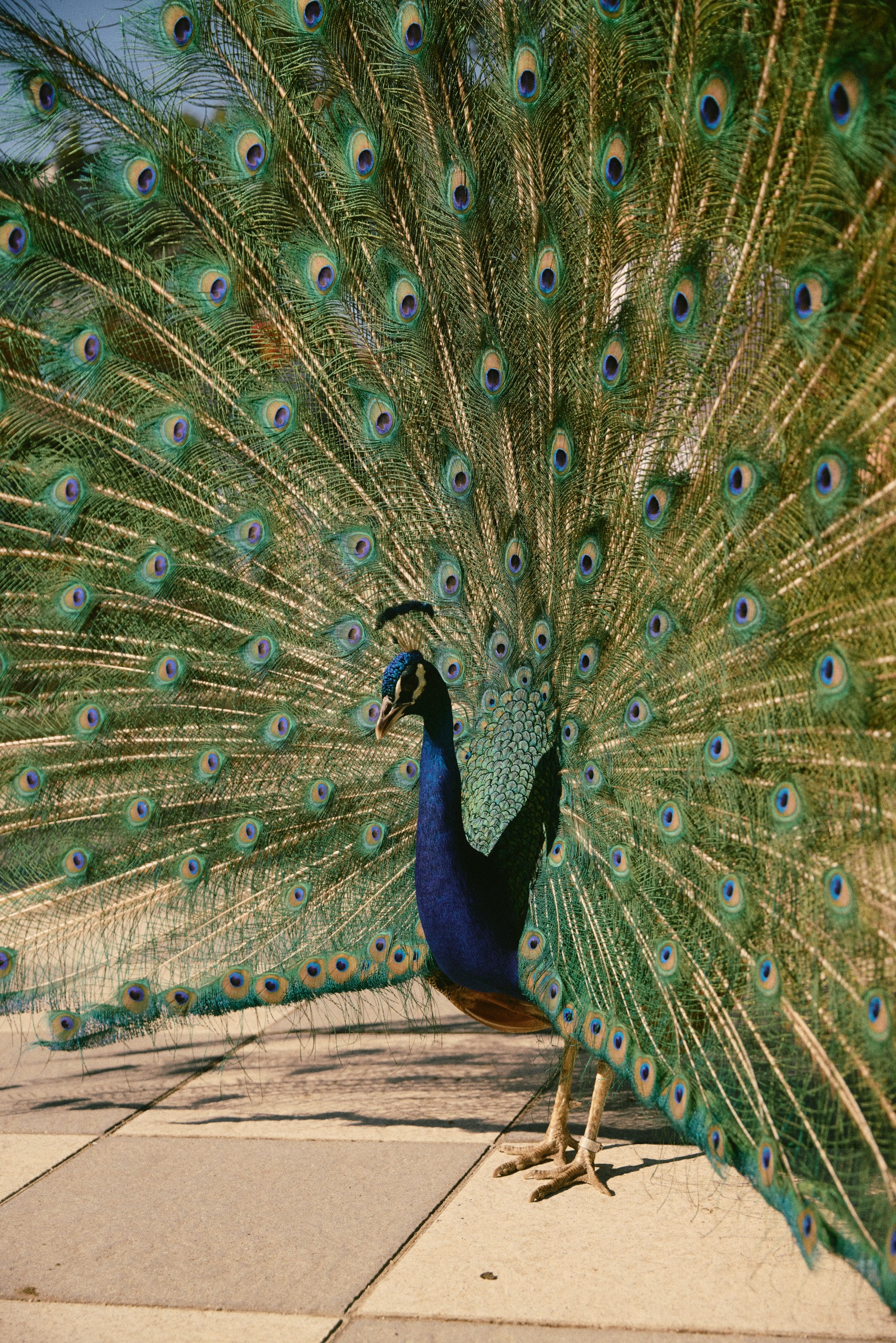 Madrid Summer Aesthetic Pinterest