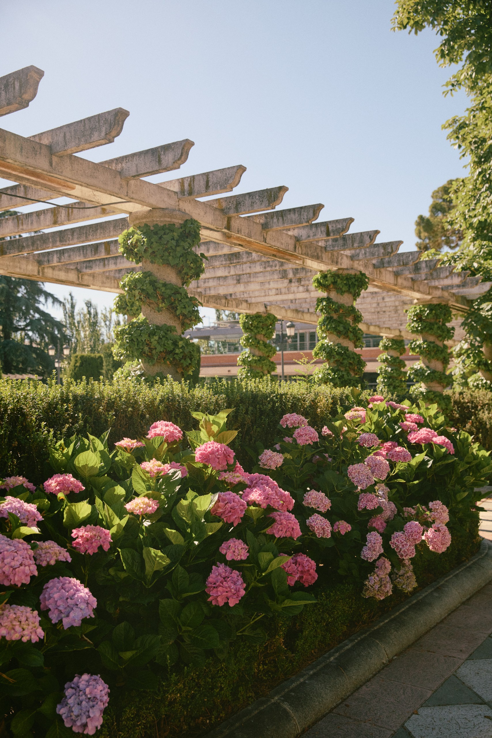 Madrid Summer Aesthetic Pinterest