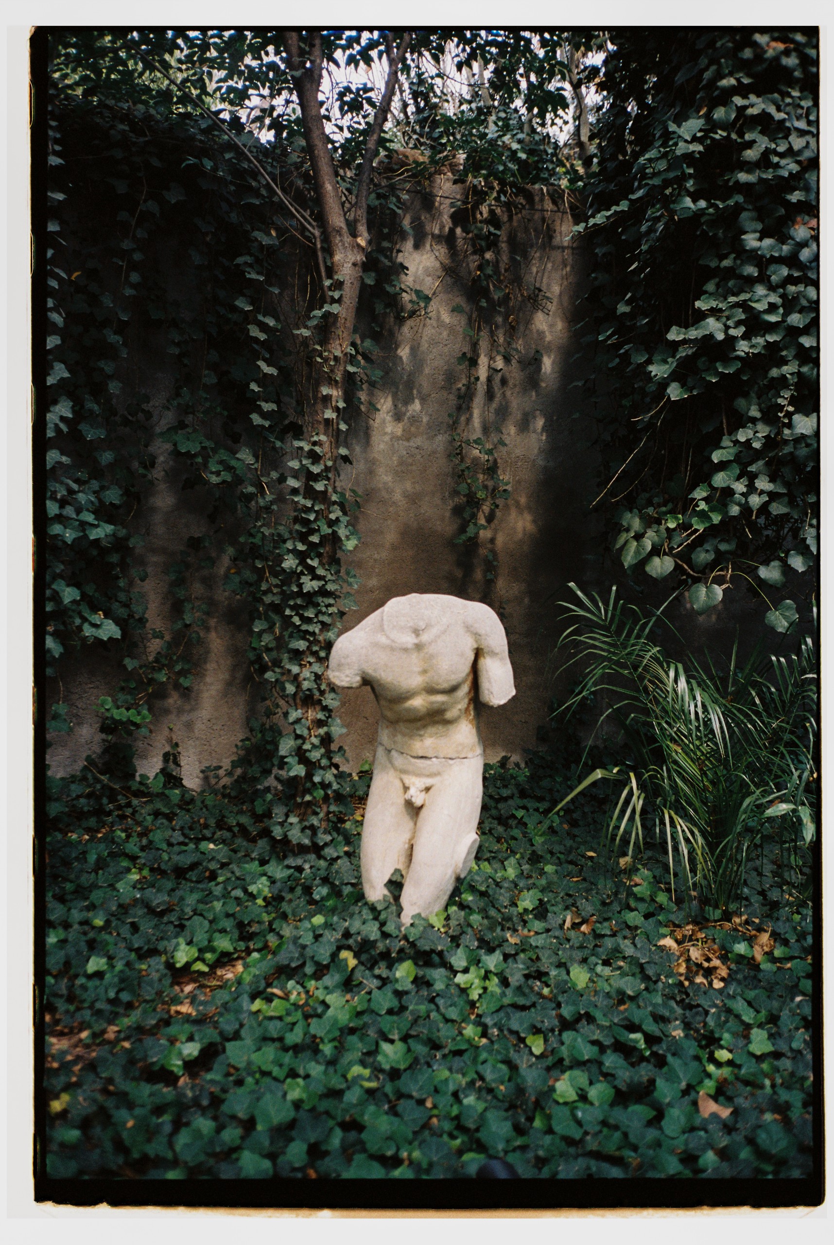 Postcards from Mexico