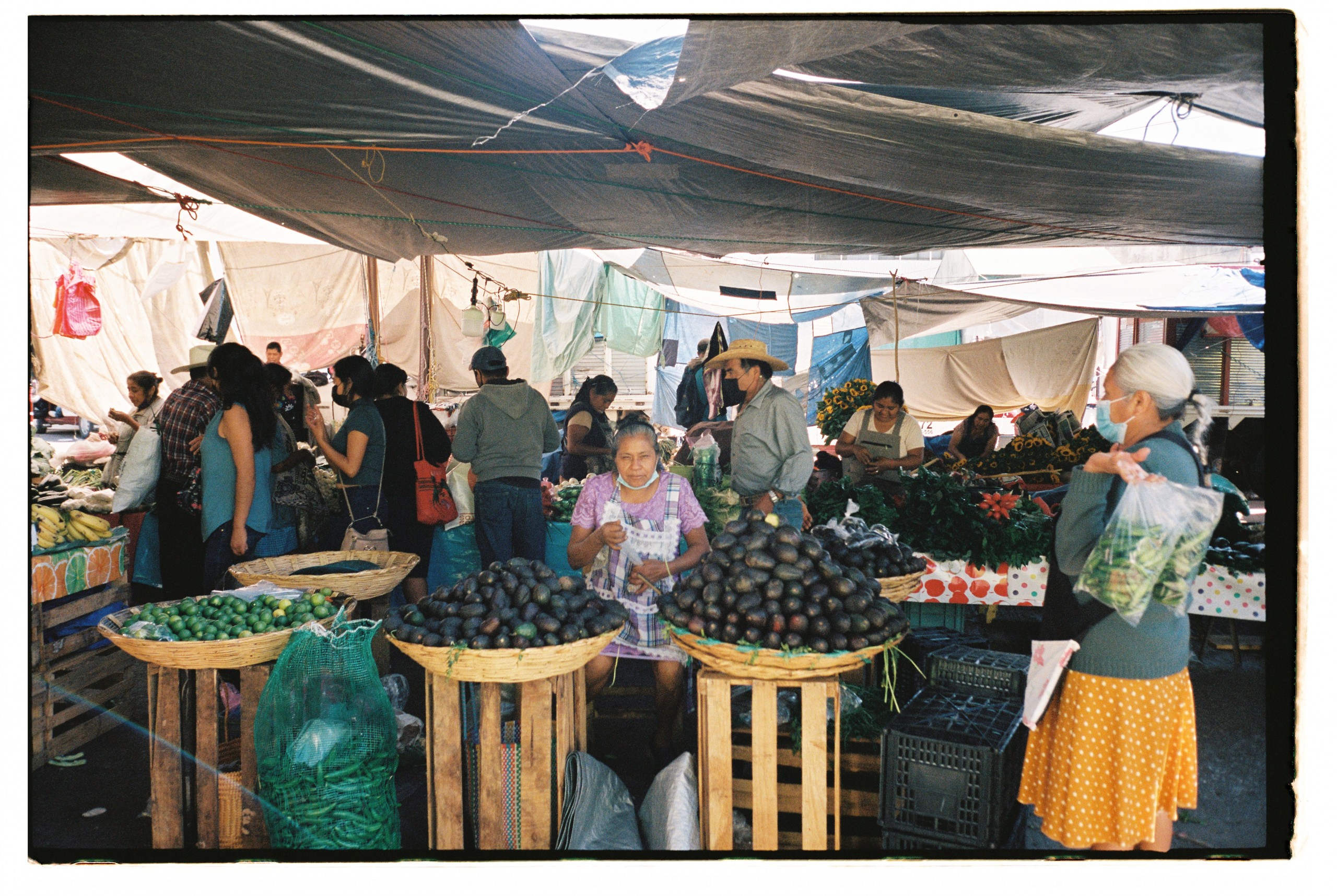 Postcards from Mexico