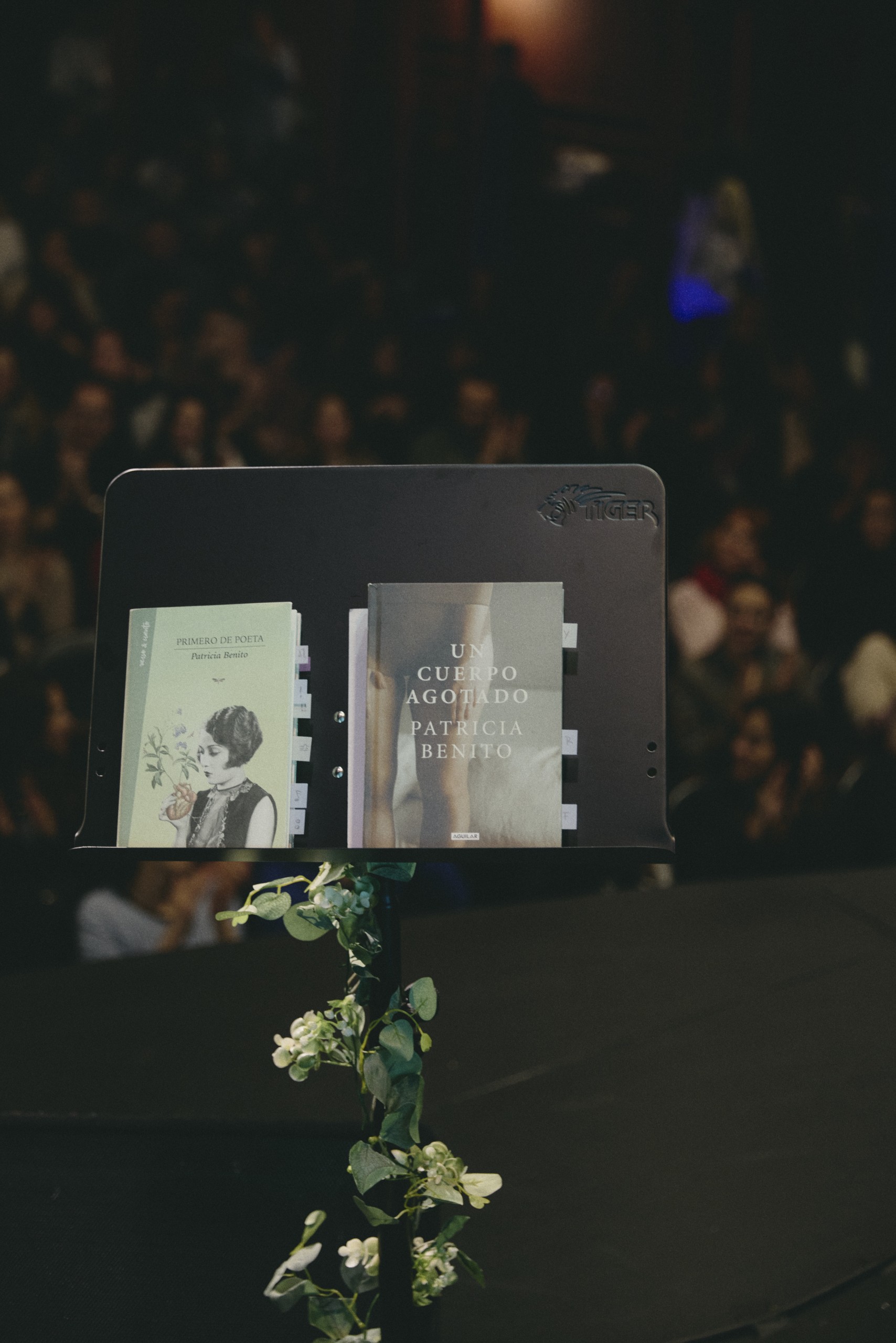 Teatro Lara Patricia Benito