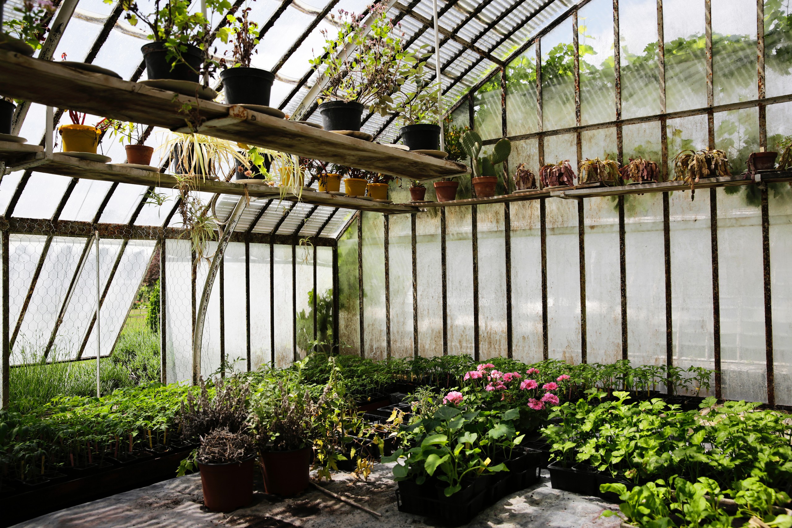 Louis-Albert De Broglie x ELLE Gourmet