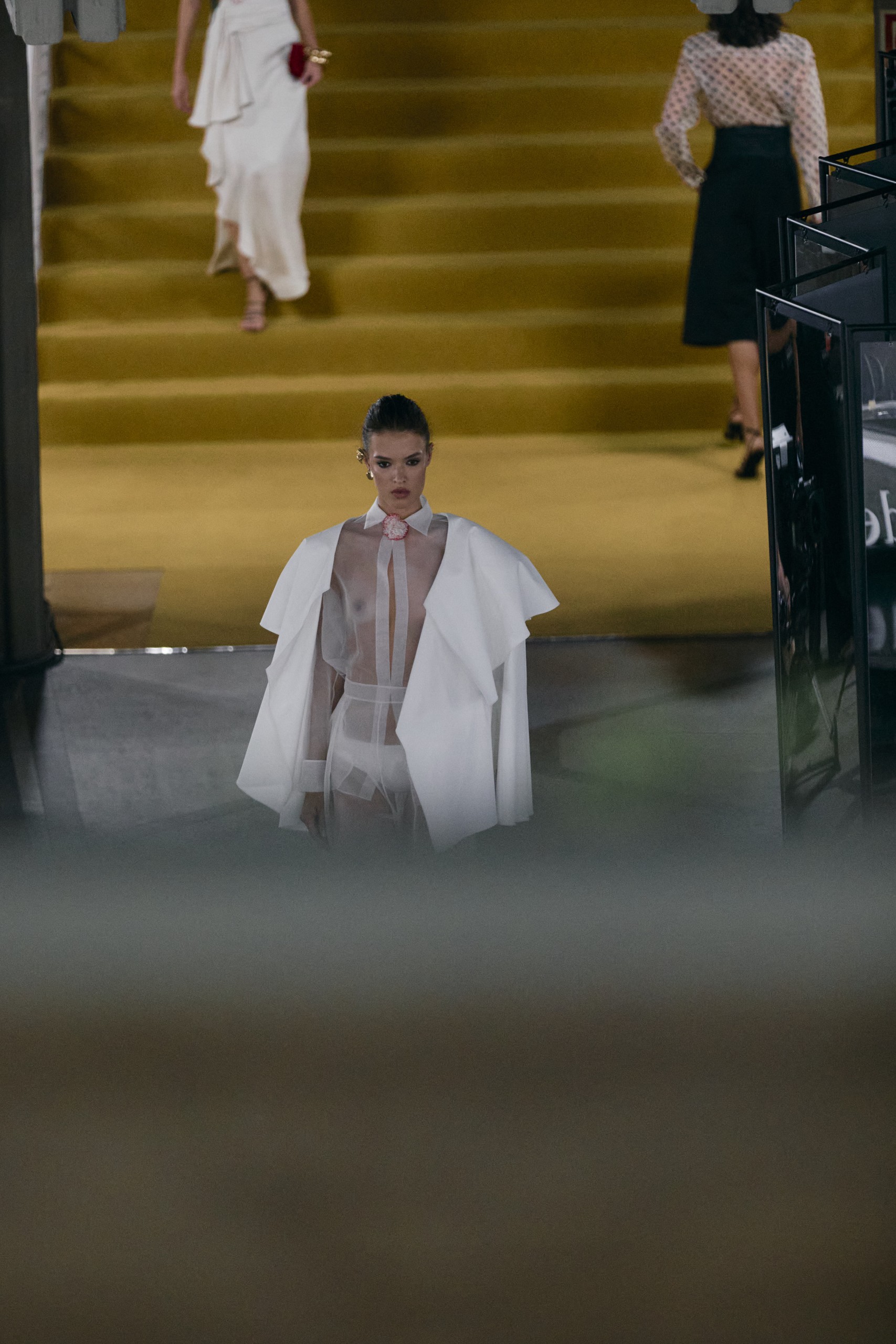 Desfile Aniversario Pedro Del Hierro