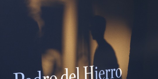 Aniversario Pedro Del Hierro
