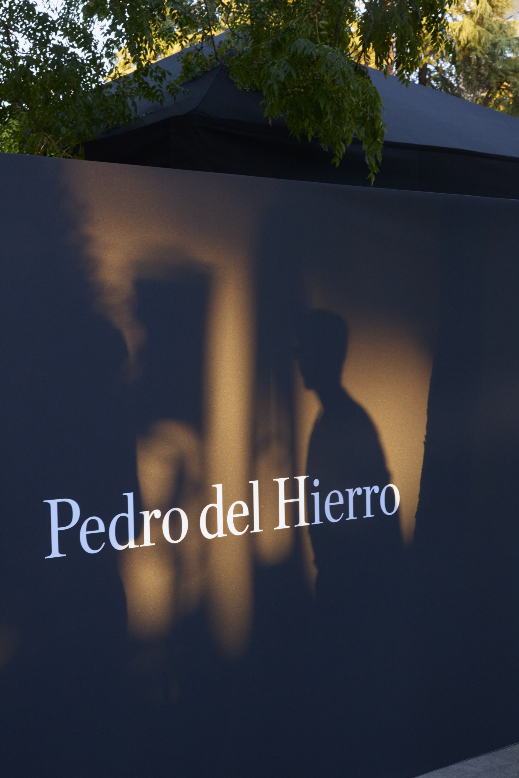 Aniversario Pedro Del Hierro